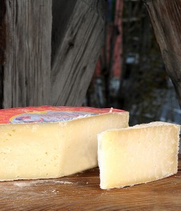Formaggio Casera DOP