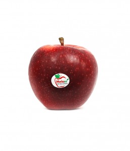 Mele di montagna Gala della