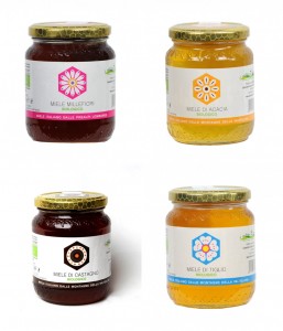 Pack 4 Mieli Biologici della