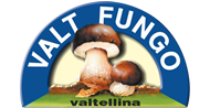 Valtfungo